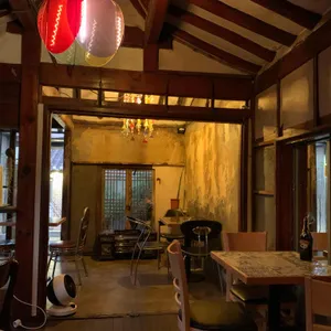 식물 리뷰 사진