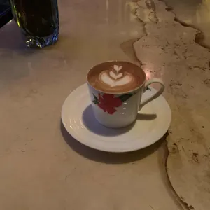 식물 리뷰 사진