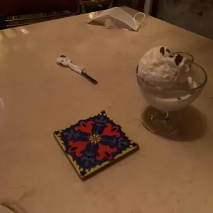 식물 리뷰 사진