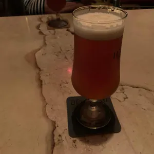 식물 리뷰 사진