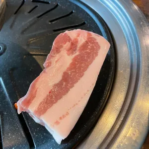 도야지 사진
