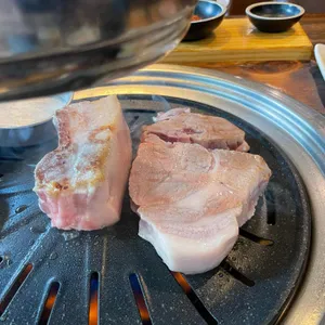 도야지 사진