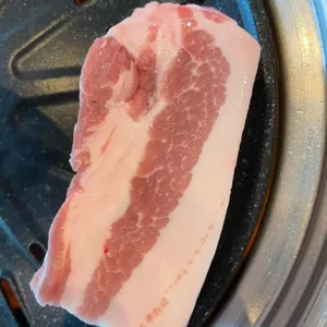 도야지 사진