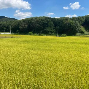 딜라의정원 리뷰 사진