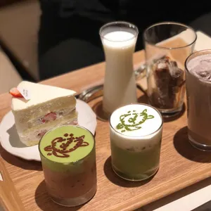 슬로우터틀 리뷰 사진