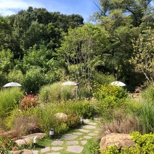 피콕그린 리뷰 사진