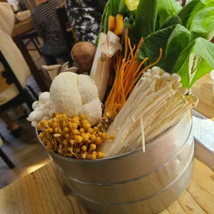 버섯애가 사진