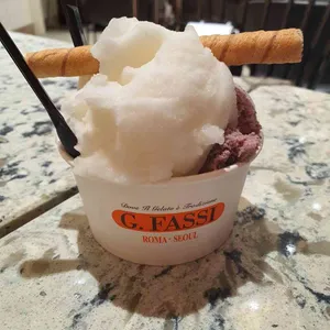 지파시 사진