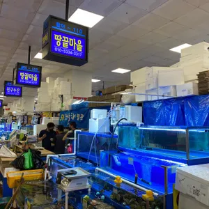 해남 땅끝마을 리뷰 사진