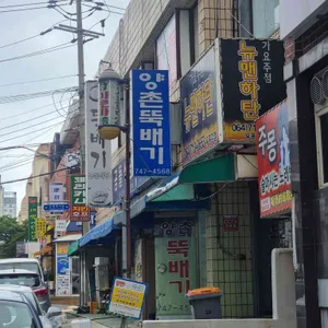 양촌뚝배기 리뷰 사진