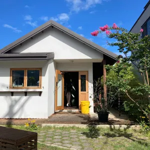 얼라이브홈 리뷰 사진