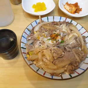 국수나무 사진