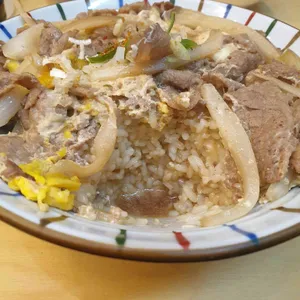 국수나무 사진