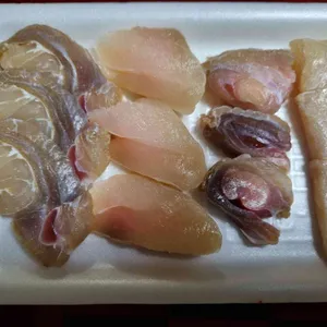 홍헤야 사진