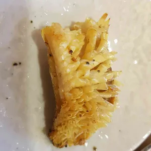 마코토 프리미엄 사진