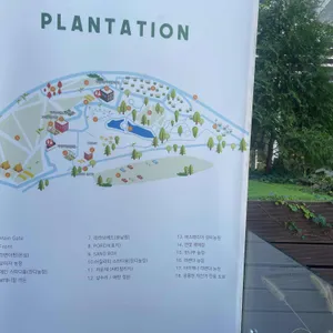 플랜테이션 베이커리카페 리뷰 사진