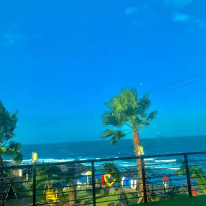 본카페 리뷰 사진