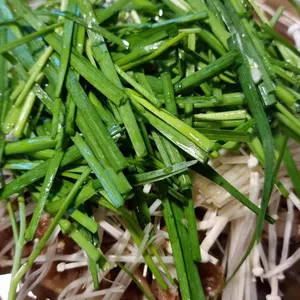 명성불고기 리뷰 사진