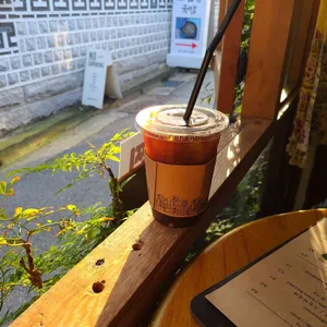 자작나무이야기 사진