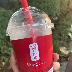 공차 사진