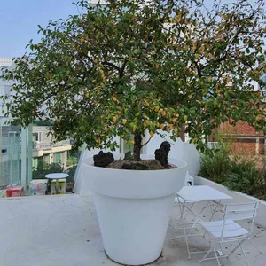 두채 리뷰 사진