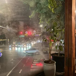 브람스 리뷰 사진