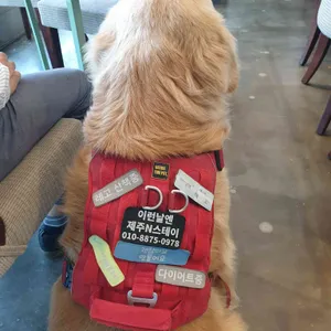 이런날엔 리뷰 사진