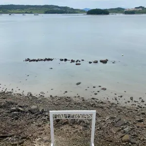 갤러리안 리뷰 사진