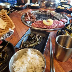 양한마리 사진