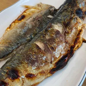 더드림돼지 사진