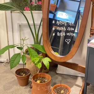 유아히어카페 리뷰 사진