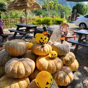 원조할매뚜레박어탕국수 리뷰 사진