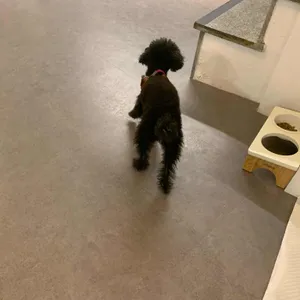 97.7화씨 리뷰 사진
