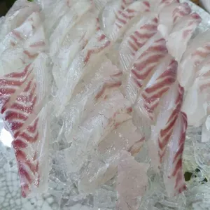 수산시장 사진