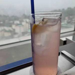 테르트르 리뷰 사진