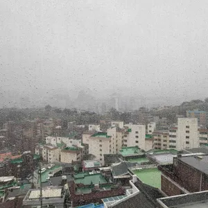 테르트르 리뷰 사진