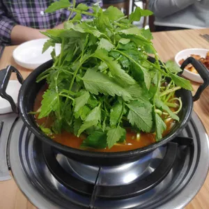 등촌샤브칼국수 사진