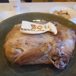 또오리 사진