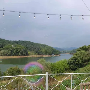 엘크 카페 리뷰 사진