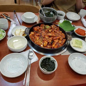 조가네갑오징어 사진