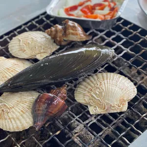 서해바다 사진