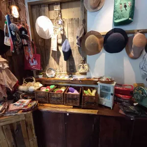 도로시 리뷰 사진