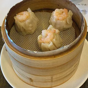 도화 사진