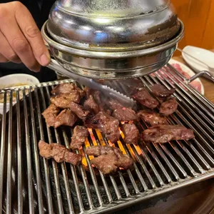 서래갈매기 사진