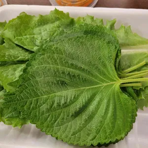 더족꾼 리뷰 사진