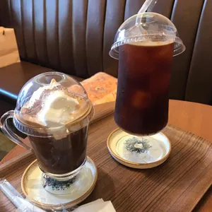 스타플로라 사진