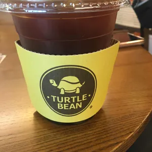 터틀빈 사진