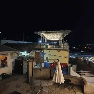 올라 리뷰 사진