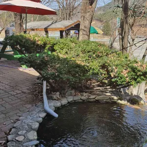 장미산장 리뷰 사진