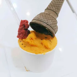 플랑크톤 사진